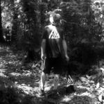 Explorando a floresta