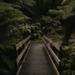 Uma ponte para outro caminho