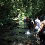 Caminhada na floresta