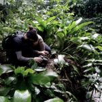 Fotografia na selva
